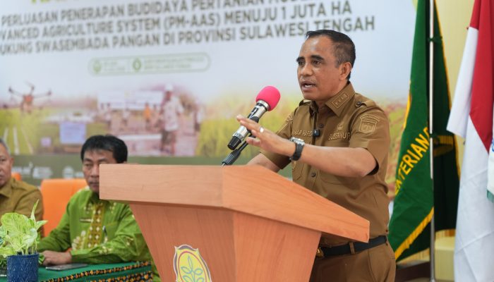 Anwar Hafid Genjot Berani Panen Raya, Target Produktivitas Padi Sulteng Capai 6 Ton per Hektare