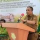 Anwar Hafid Genjot Berani Panen Raya, Target Produktivitas Padi Sulteng Capai 6 Ton per Hektare