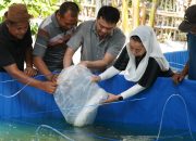 Wawali Palu Tebar 700 Benih Ikan Nila di Tondo dan Kabonena, Perkuat Ketahanan Pangan