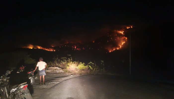 Karhutla di Banggai Belum Padam, Api Masih Berkobar di Kawasan Perbukitan
