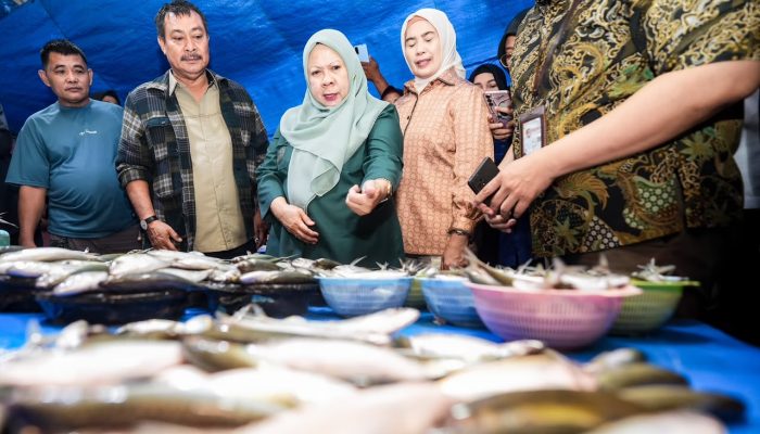 Wagub Reny dan Bupati Tolitoli Turun ke Pasar, Pastikan Bahan Pokok Aman dan Harga Terkendali