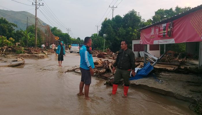 Banjir Bandang di Desa Avolua Parimo: 50 Warga Mengungsi, Jalan Trans Sulawesi Tertimbun Lumpur