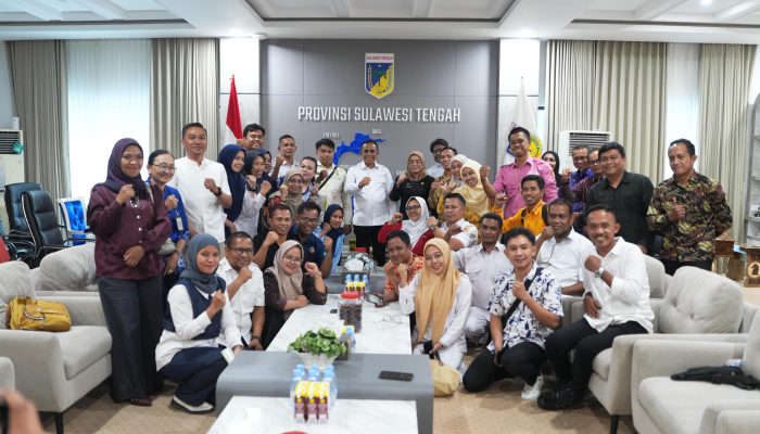 Terima Aspirasi Ratusan PPPK Nakes, Gubernur Anwar Hafid Langsung Hubungi Wamenkes