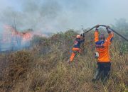 Karhutla di Poso Meluas, 50 Hektare Lahan Terbakar dan SMA Terdampak