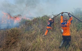 Karhutla di Poso Meluas, 50 Hektare Lahan Terbakar dan SMA Terdampak