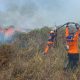 Karhutla di Poso Meluas, 50 Hektare Lahan Terbakar dan SMA Terdampak