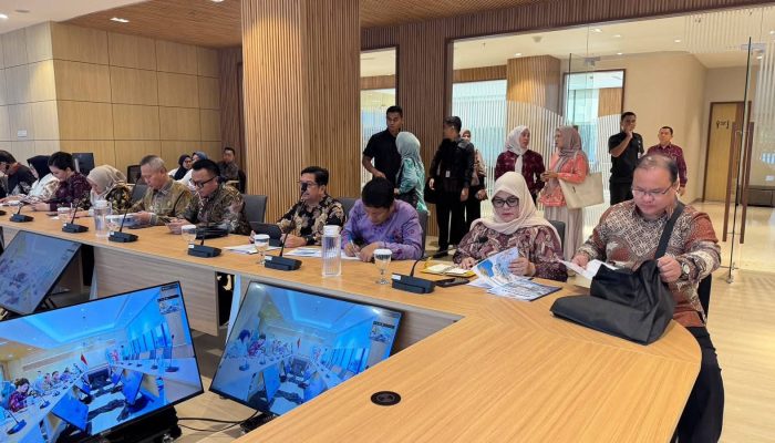 Wakil Bupati Tojo Una-Una Hadiri Audiensi Pemprov Sulteng dengan Wakil Menteri Kesehatan di Jakarta