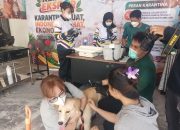 Warga Palu Antusias Bawa Hewan Peliharaan untuk Vaksin Rabies Gratis di Balai Karantina Sulteng