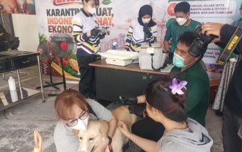 Warga Palu Antusias Bawa Hewan Peliharaan untuk Vaksin Rabies Gratis di Balai Karantina Sulteng