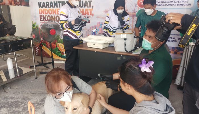 Warga Palu Antusias Bawa Hewan Peliharaan untuk Vaksin Rabies Gratis di Balai Karantina Sulteng
