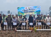 Perkuat Ketahanan Pangan, Bupati Sigi Tanam Padi Perdana di Lindu