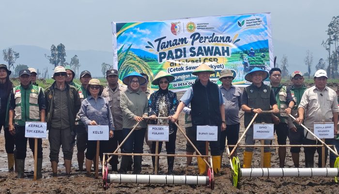 Perkuat Ketahanan Pangan, Bupati Sigi Tanam Padi Perdana di Lindu