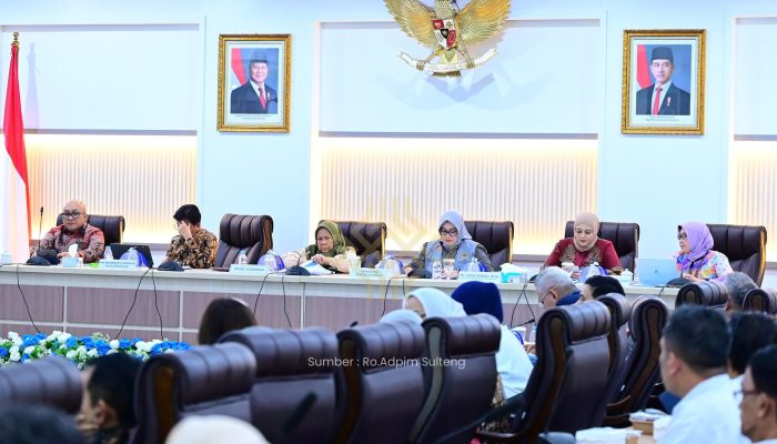 Wagub Reny Sampaikan Sejumlah Tantangan Kesehatan Sulteng ke Komisi IX DPR RI